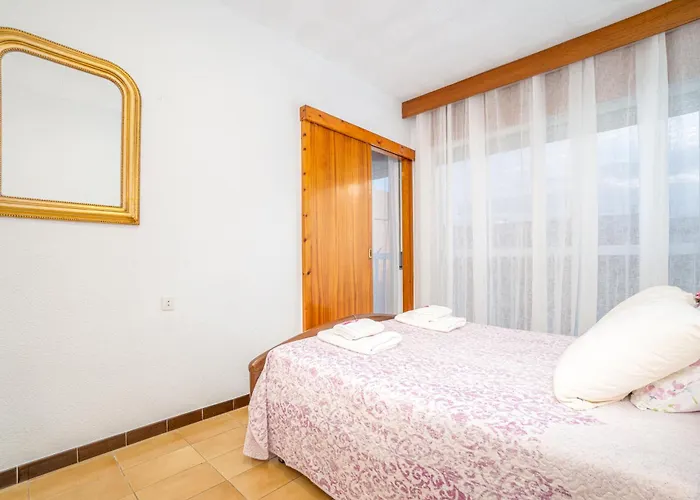 Basic Comfort Poeta Marquina 2º 2027 Roses